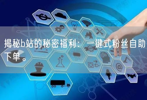 揭秘b站的秘密福利：一键式粉丝自助下单。
