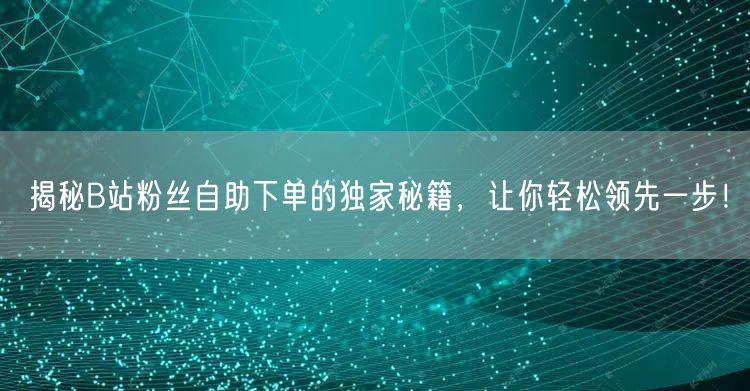 揭秘B站粉丝自助下单的独家秘籍，让你轻松领先一步！
