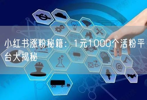小红书涨粉秘籍：1元1000个活粉平台大揭秘