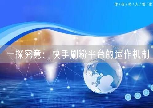 一探究竟：快手刷粉平台的运作机制