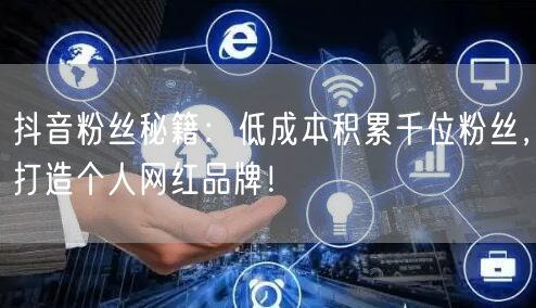 抖音粉丝秘籍：低成本积累千位粉丝，打造个人网红品牌！