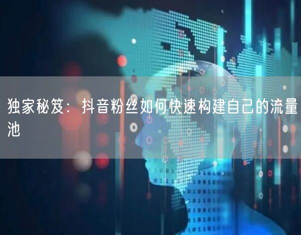 独家秘笈：抖音粉丝如何快速构建自己的流量池
