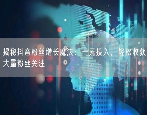 揭秘抖音粉丝增长魔法：一元投入，轻松收获大量粉丝关注