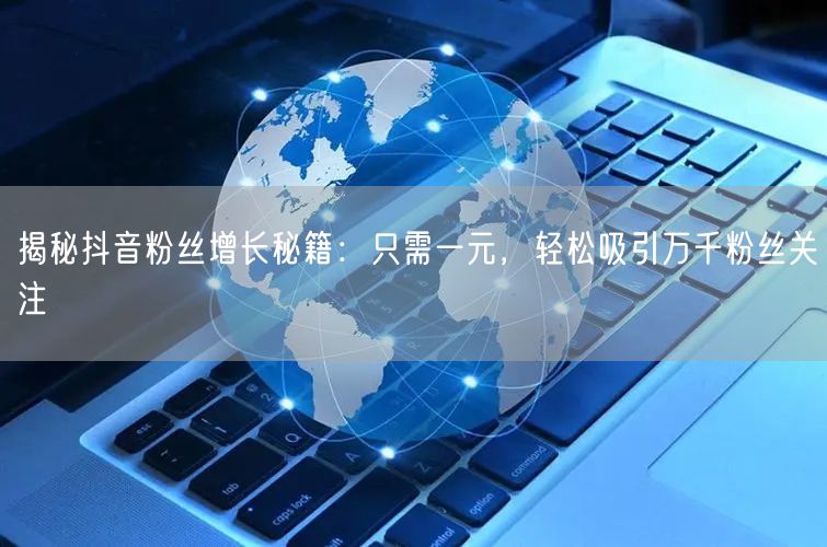 揭秘抖音粉丝增长秘籍：只需一元，轻松吸引万千粉丝关注