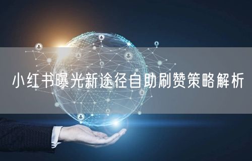 小红书曝光新途径自助刷赞策略解析