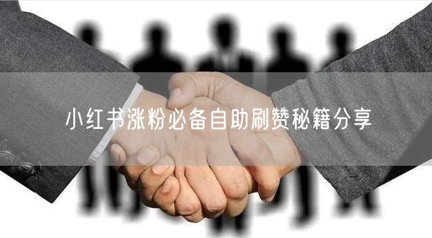 小红书涨粉必备自助刷赞秘籍分享