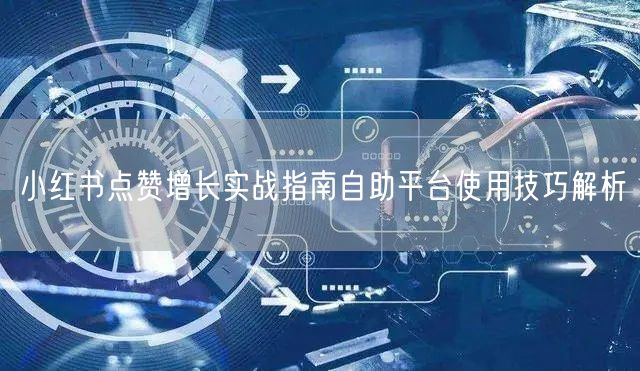 小红书点赞增长实战指南自助平台使用技巧解析