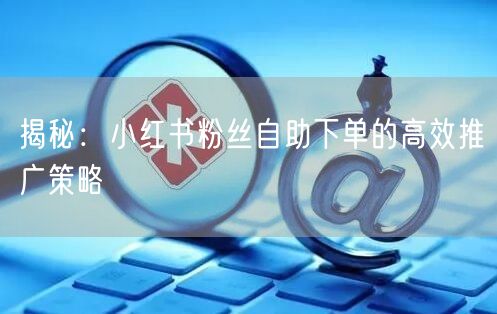 揭秘：小红书粉丝自助下单的高效推广策略