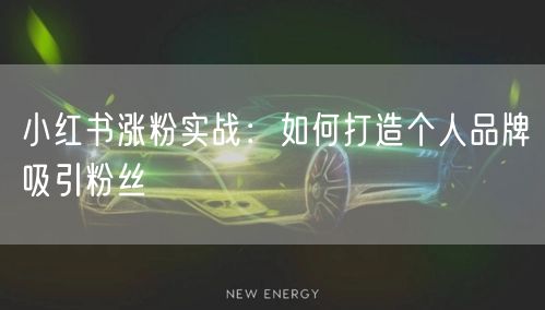 小红书涨粉实战：如何打造个人品牌吸引粉丝