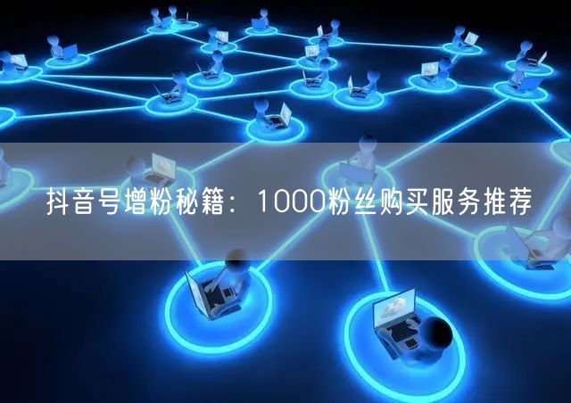 抖音号增粉秘籍：1000粉丝购买服务推荐