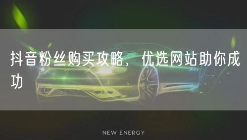 抖音粉丝购买攻略，优选网站助你成功
