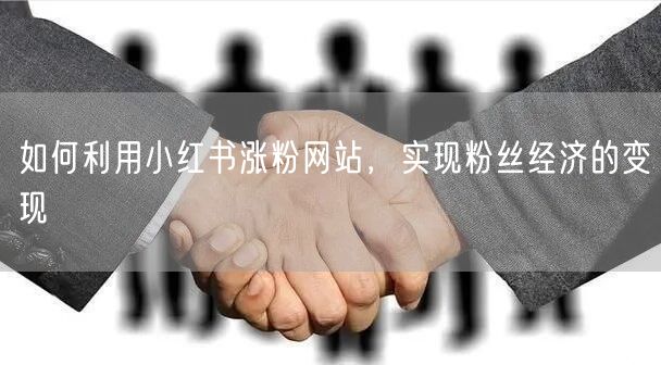 如何利用小红书涨粉网站，实现粉丝经济的变现