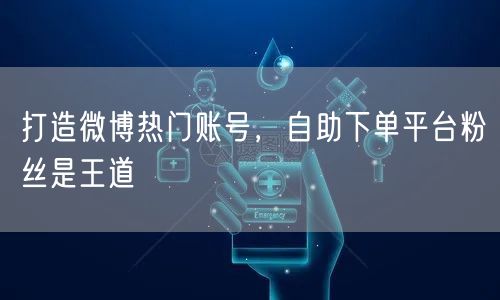 打造微博热门账号，自助下单平台粉丝是王道