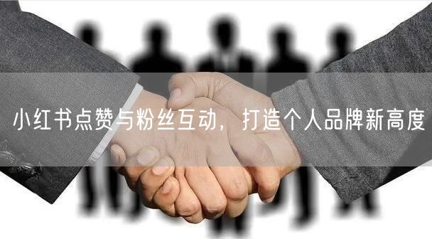 小红书点赞与粉丝互动，打造个人品牌新高度
