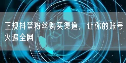正规抖音粉丝购买渠道，让你的账号火遍全网