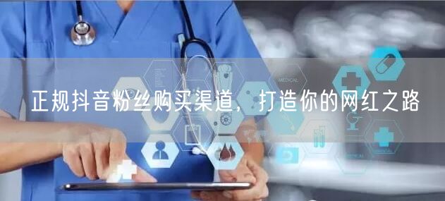 正规抖音粉丝购买渠道，打造你的网红之路