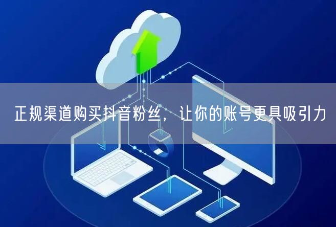 正规渠道购买抖音粉丝，让你的账号更具吸引力