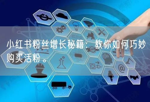 小红书粉丝增长秘籍：教你如何巧妙购买活粉。