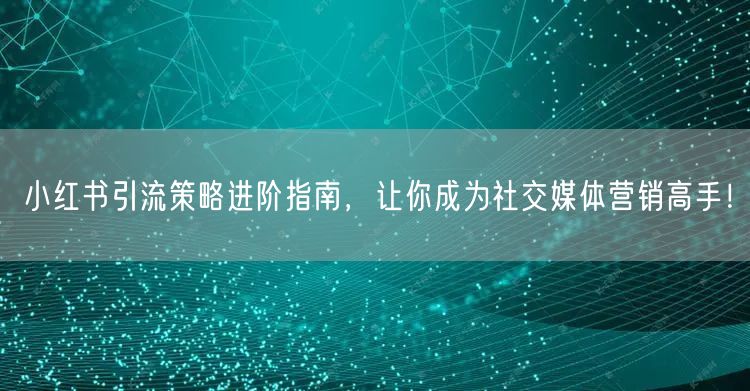 小红书引流策略进阶指南，让你成为社交媒体