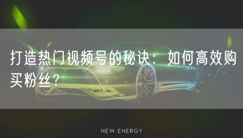 打造热门视频号的秘诀：如何高效购买粉丝？