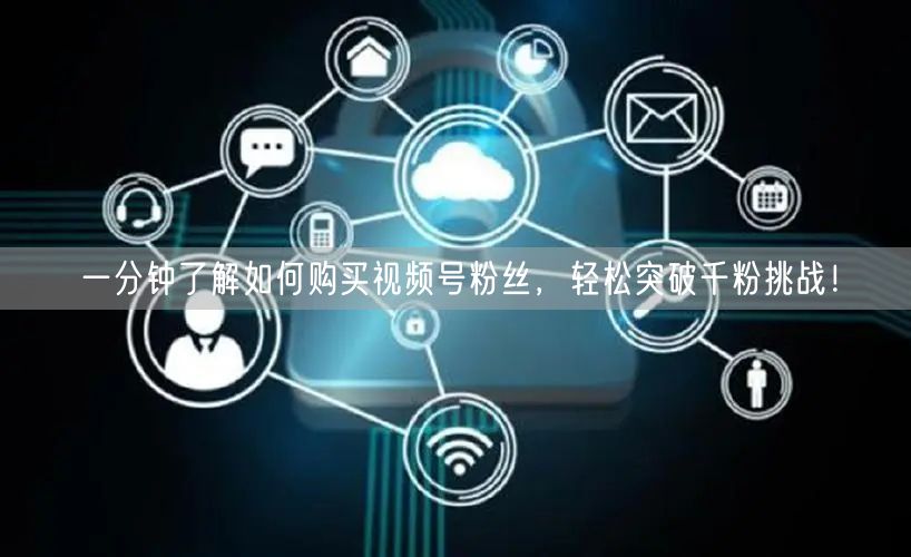 一分钟了解如何购买视频号粉丝，轻松突破千