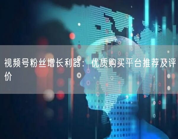 视频号粉丝增长利器：优质购买平台推荐及评价